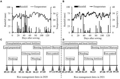 Localized nitrogen supply facilitates rice yield and nitrogen use efficiency by enabling root-zone nitrogen distribution and root growth